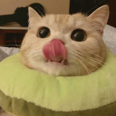 ��Ц��Ƥ���ǳ�Ů�� �����ɰ���ɳ������