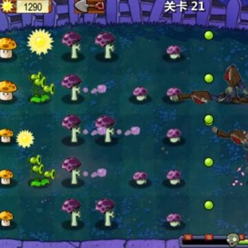 植物大作战 植物大作战