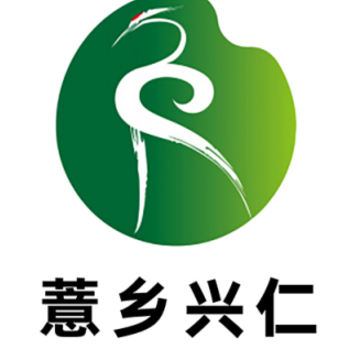 ޲������app