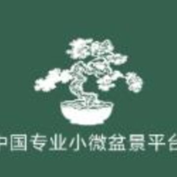 中国小微盆景app 中国小微盆景app