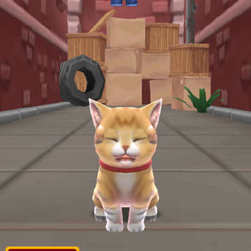 小猫跑酷 小猫跑酷