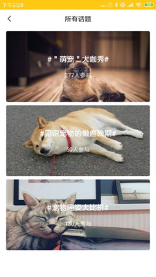 ������app