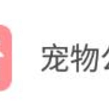 ���﹫��app
