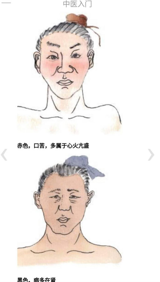 中医入门app 中医入门app