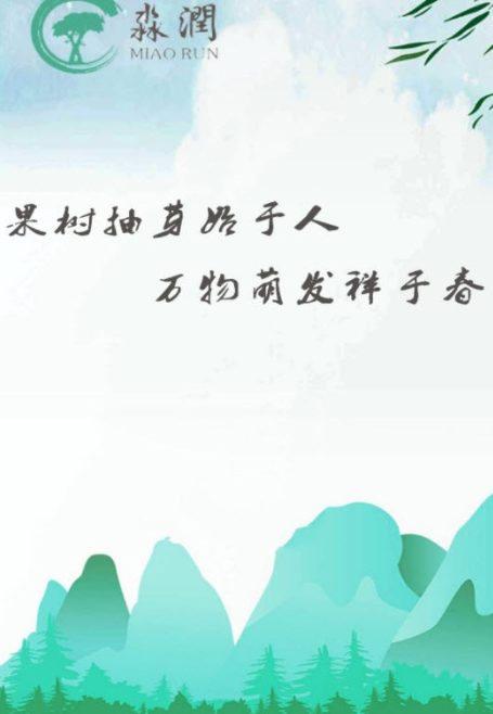 淼润app投资