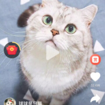 ެӰ����Ƶ