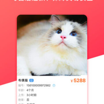 宠医到 宠医到