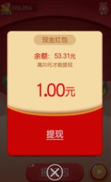 招财树 招财树