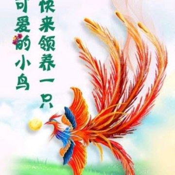 凤凰社手游 凤凰社手游