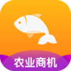 ץ��appv3.02.50 ���°�