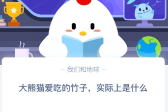 ����è���Ե����ӣ�ʵ������ʲô