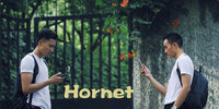 Hornet