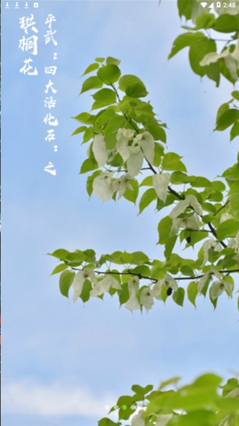 ֱ��ƽ��appv2.0.2 ���°�