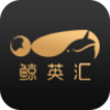 ��Ӣ��app