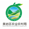 �������ʹ���appv1.0 ���°�