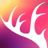 ��¹����appv6.5.0 ���°�