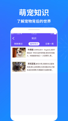 �ȳ�è��������v1.3 ���°�