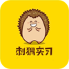 ���ʵϰv1.0.3 �ٷ����°�