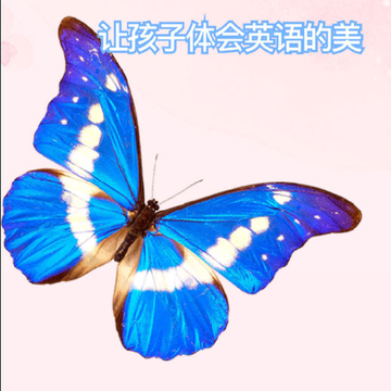 ����Morph
