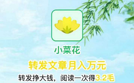 小菜花 小菜花