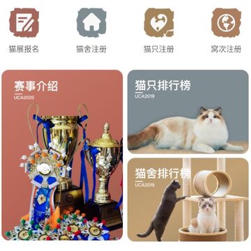 ����èapp(èȦ�罻)