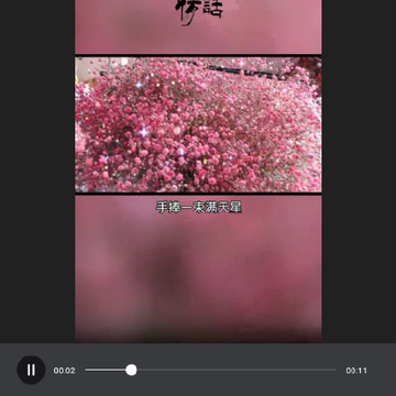 ��Ƶת����ʦ��׿��app
