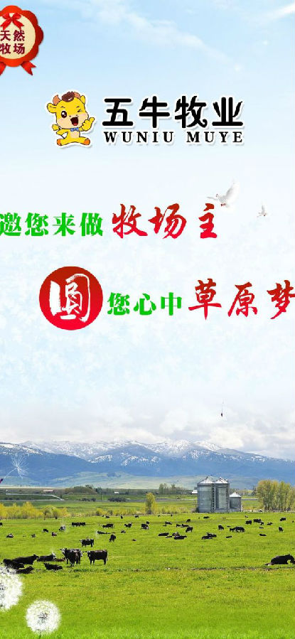 五牛牧业