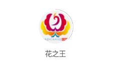 ��֮��app