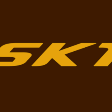SKCAM app