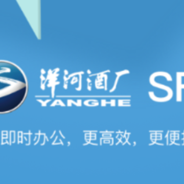 洋河SFA 洋河SFA