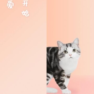 ��������app