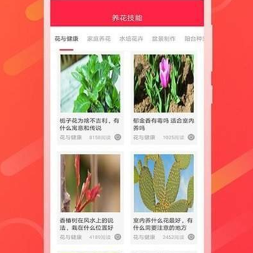 鲜花吧 鲜花吧