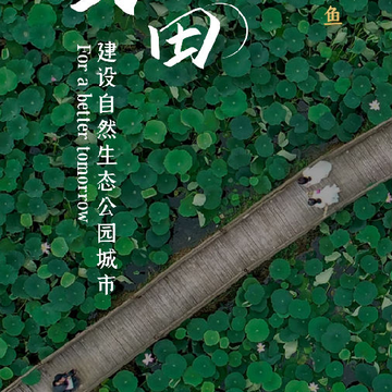 掌上咸宁app 掌上咸宁app