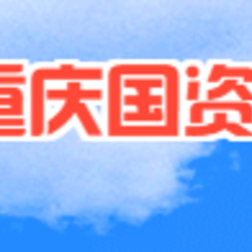 重庆国资云 重庆国资云