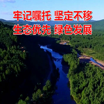 中国冷极根河app 中国冷极根河app