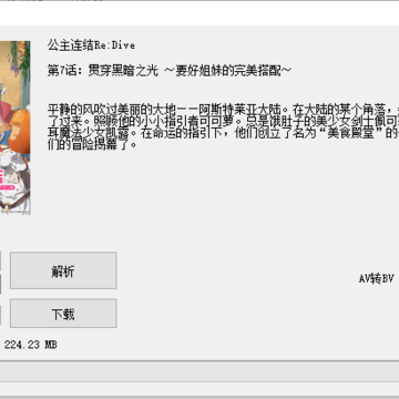 BiliDownload(哔哩哔哩视频下载器) BiliDownload(哔哩哔哩视频下载器)
