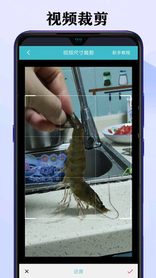 ����Ƶȥˮӡ��ʦ��Ѱ�v1.5.3 ���°�
