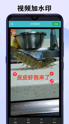 ����Ƶȥˮӡ��ʦ��Ѱ�v1.5.3 ���°�
