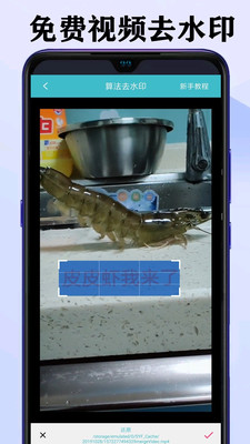 ����Ƶȥˮӡ��ʦ��Ѱ�v1.5.3 ���°�
