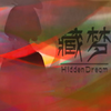 藏梦Hidden Dream中文免安装版
