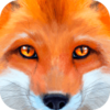 UltFox2(�ռ�Ұ��ģ�����ƽ��)v1.1 ��׿��