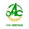 OAC�л�ũҵ��v100 ���°�