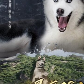 山海经1987手游官方版 山海经1987手游官方版