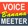 Voicemeeter Banana()v2.0.5.0 ٷ