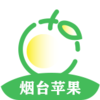 ��̨ƻ��appv1.1 ���°�