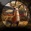 �ռ�����3Dv1.01 �ٷ���