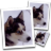 SimilaEnlarger(ͼ������Ŵ󹤾�)v0.9.0 �ٷ���