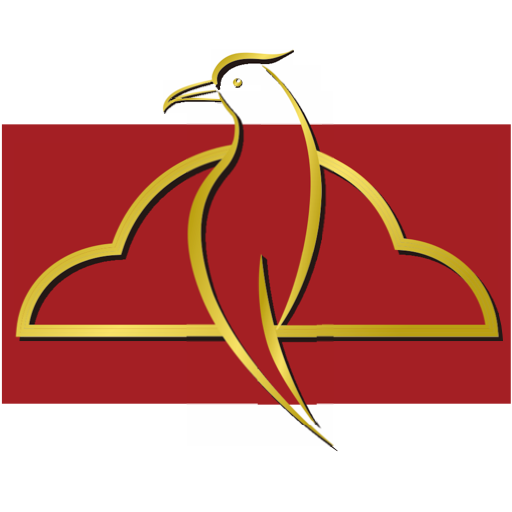 �����Ʋ�appv1.2.4 ���°�