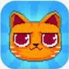 Crashy Cats(��ײè��Ϸ)v1.0 �ֻ���