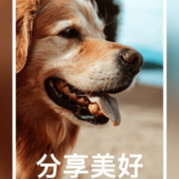 ��С��